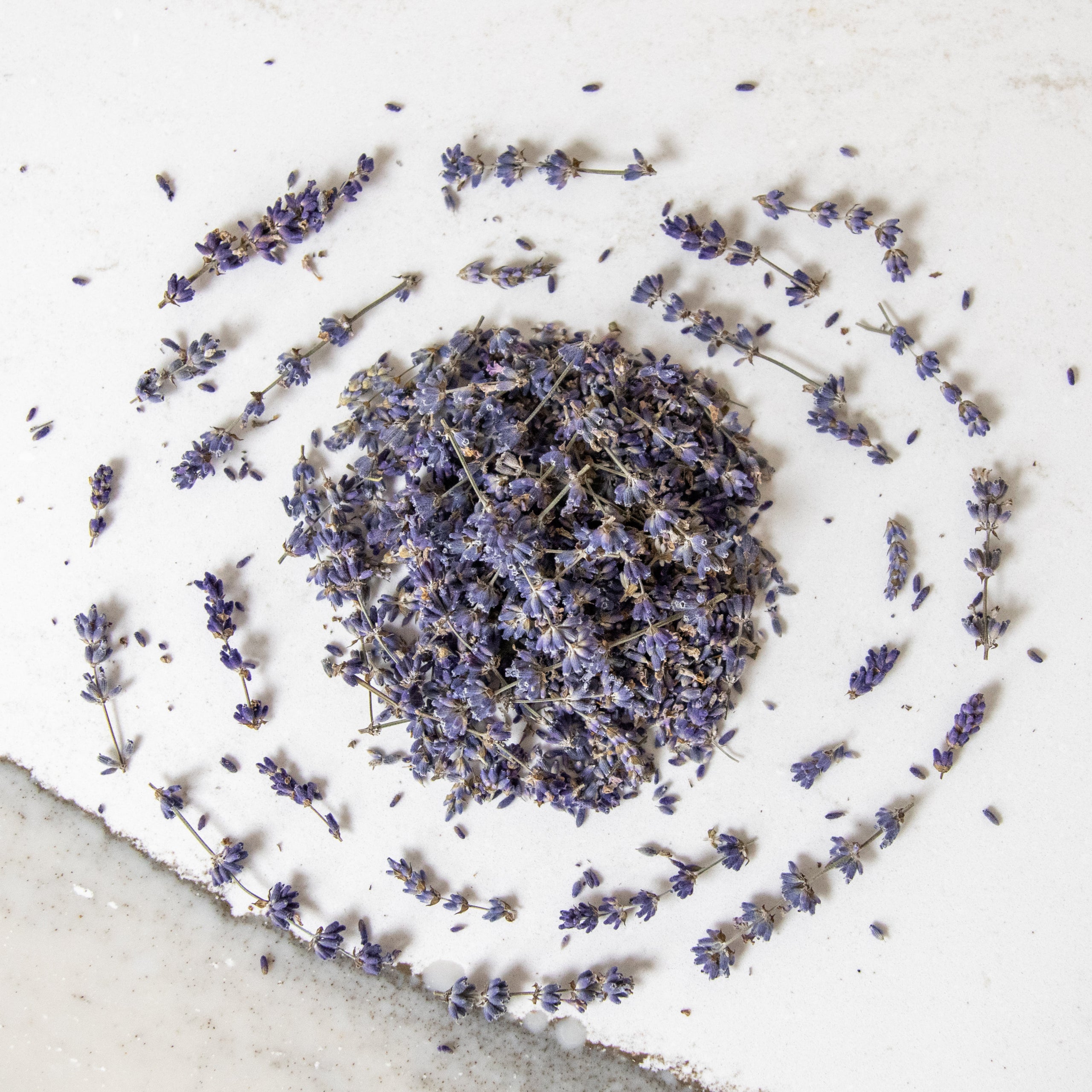 Dried Lavender Sprig Garnish – Adelina Social Goods