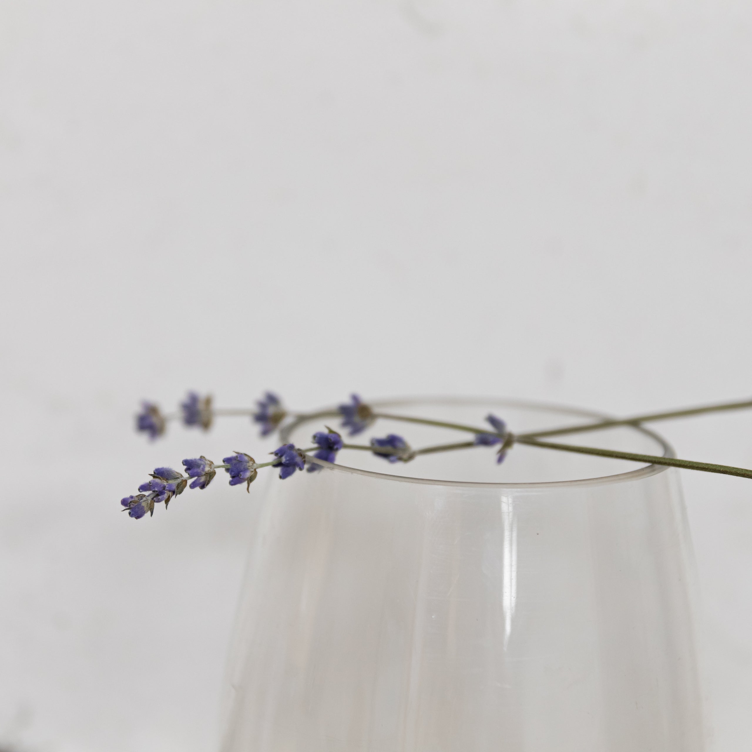Lavender Kitchen Accessories - And Where to Find Them - PartyLookBook